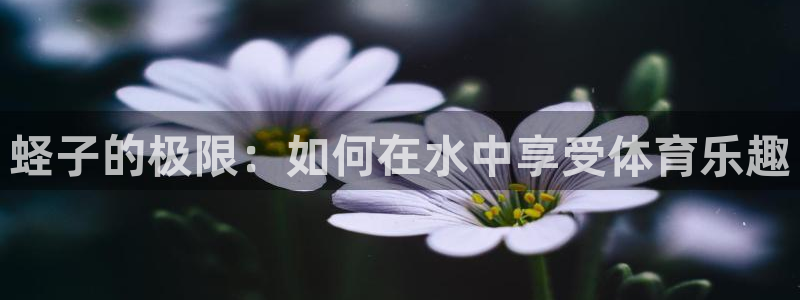 oety欧亿