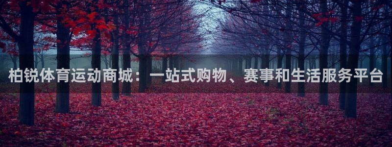 oety欧亿